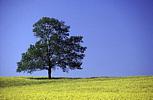 photos paysages