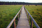 photos nature