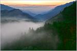 photos nature