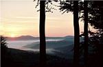 photos nature