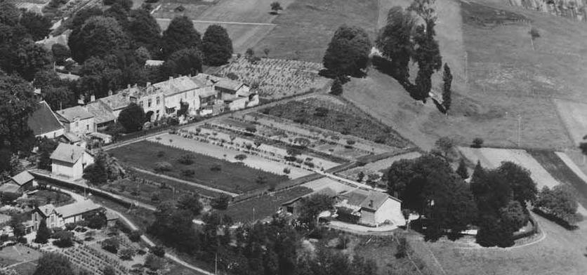 photographie aérienne du château de La Force