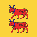 drapeau Béarn