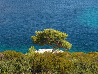 photo calanques