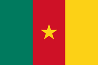 drapeau du Cameroun