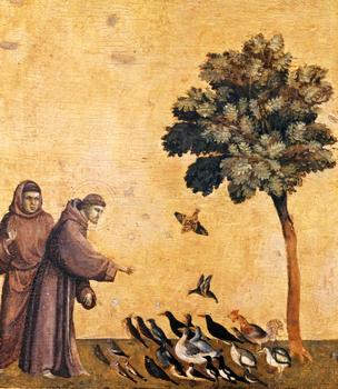 François d'Assise et les oiseaux par Giotto
