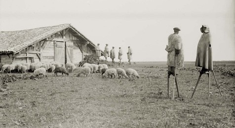 chancayres landais