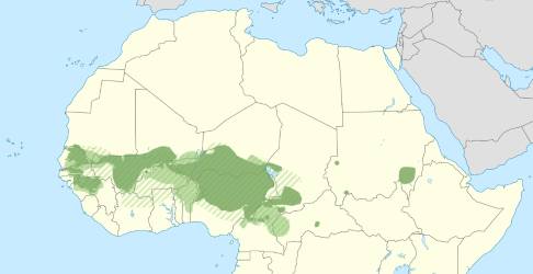 carte linguistqiue des langues peul